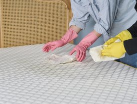 Cách Vệ Sinh Nệm Tại Nhà Đúng Cách Mà Không Làm Hỏng Nệm 