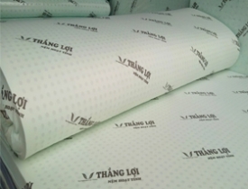Nệm cao su hoạt tính Thắng Lợi là nệm gì? Có nên mua hay không?