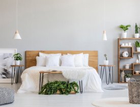 Top loại cây để phòng ngủ giúp ngủ ngon, thư giãn tinh thần