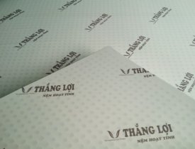Địa chỉ bán nệm cao su hoạt tính thắng lợi uy tín giá tốt