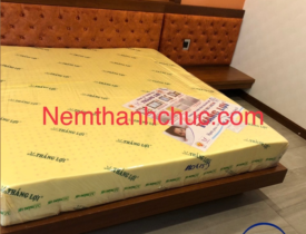 Nệm Thanh Chúc - Địa chỉ bán nệm cao su non chính hãng TPHCM uy tín