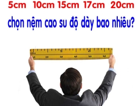 Nệm Thắng Lợi có độ dày từ bao nhiêu cm?
