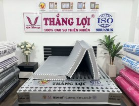 Nệm Cao Su Foam Hoạt Tính Gấp 3 Thắng Lợi Được Làm Từ Chất Liệu Gì?