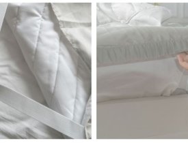Ga chun và ga phủ có gì khác biệt?