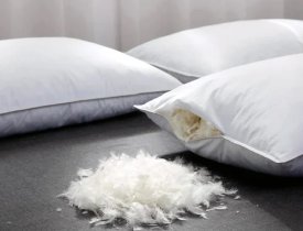 Gối lông lông vũ có tốt cho người đau vai gáy không?