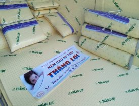 Mua nệm cao su non Thắng Lợi giá tốt HCM đảm bảo chất lượng ở đâu?