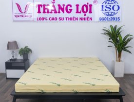 Mua nệm cao su Thắng Lợi giá rẻ ở đâu? - Nệm Thắng Lợi