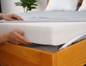 Khi mua nệm bông ép chính hãng thì cần lưu ý những gì?