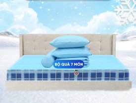 Chính thức ra mắt sản phẩm mới - Nệm bông ép điều hòa Thắng Lợi 
