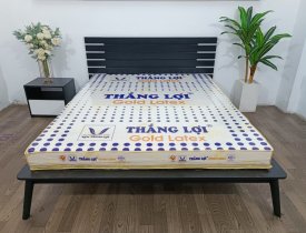 Kinh nghiệm chọn nệm cao su tổng hợp Gold Latex Thắng Lợi