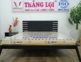 Nệm cao su Gold Latex chính hãng Thắng Lợi
