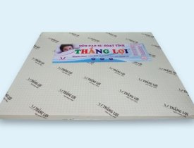 Địa chỉ cung cấp nệm cao su hoạt tính giá tốt cho mọi nhà