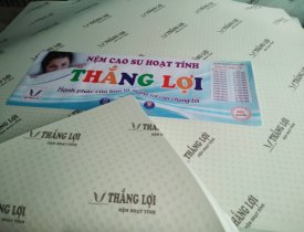 Đại lý phân phối nệm cao su hoạt tính Thắng Lợi cao cấp chính hãng