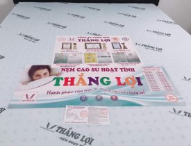 Mách bạn địa chỉ cung cấp nệm cao su hoạt tính Thắng Lợi ở HCM