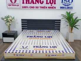 Nệm Cao Su Latex là gì? Ưu Nhược Điểm Nệm Cao Su Latex Giấc Ngủ Ngon