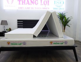 Bảng giá nệm cao su non cao cấp Thắng Lợi gấp 3 mới nhất 2026