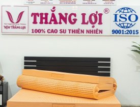 Nệm cao su non gấp 3 Thắng Lợi - Sản phẩm tuyệt vời cho mọi gia đình 
