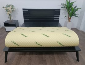 Có Nên Dùng Nệm Cao Su Non Massage Thắng Lợi Khi Bị Đau Lưng?