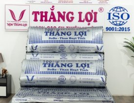Nệm cao su non Thắng Lợi 1m4 giá rẻ tại TPHCM