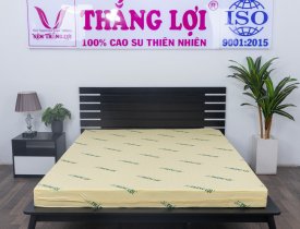 Nệm cao su non Thắng Lợi, tốt cho người lớn tuổi không?