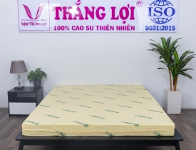Nệm cao su non có tốt không? Vì sao cần lưu ý về size khi chọn mua nệm? 