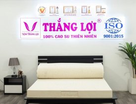 Tìm đến đơn vị cung cấp nệm cao su non Thắng Lợi chính hãng