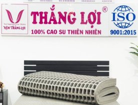 Nệm cao su non Thắng Lợi quận 12 khi mua cần đảm bảo điều kiện gì?