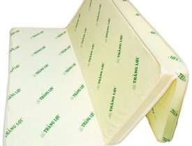 Đặt mua nệm cao su non thiên nhiên giá rẻ tại tphcm ở cửa hàng uy tín nào?