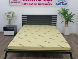 Top 3 nệm cao su non Thắng Lợi được ưa chuộng hiện nay