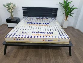 Bảng giá nệm cao su Thắng Lợi Gold Latex