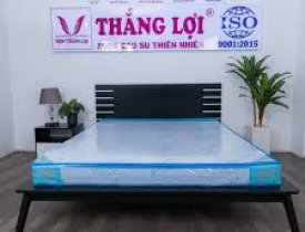 Nệm cao su thiên nhiên 2 lớp Rosi Thắng Lợi