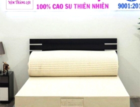 Lợi Ích Khi Chọn Mua Loại Nệm Cao Su Thiên Nhiên Mang Lại Cho Giấc Ngủ