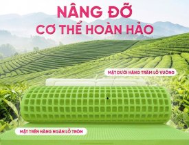 Review nệm cao su thiên nhiên Tea Plus Matcha Cool Thắng Lợi