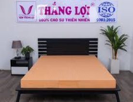 Top 5 mẫu nệm cao su thiên nhiên Thắng Lợi bán chạy nhất hiện nay