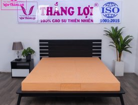 Bảng giá nệm cao su thiên nhiên 100% Thắng Lợi Susu Original 1m6 x 2m