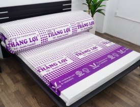  Bảng giá nệm cao su thiên nhiên 100% Titi – Double Function