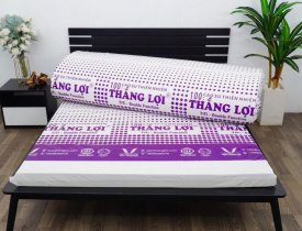  Nệm cao su thiên nhiên TiTi Double Function 2 mặt 15cm giá bao nhiêu?