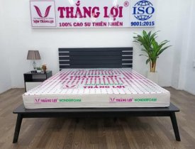 Giá Nệm Cao Su Wonder Foam Thắng Lợi 1m6