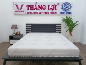 Nệm cao su memory foam Thắng Lợi có tính năng ưu việt như thế nào?