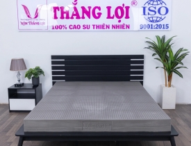 Review nệm cao su thiên nhiên Thắng Lợi BoBo-Than hoạt tính 