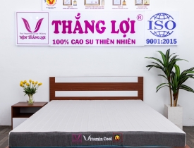 Nệm đêu hòa Thắng Lợi Vitamin Cool Grey 