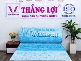 Review nệm Điều Hòa Thắng Lợi Vitamin Cool