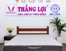 Nệm Điều Hòa Thắng Lợi Vitamin Cool Grey Giấc Ngủ Dễ Chịu Mùa Hè