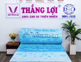 Bảng giá nệm điều hoà Vitamin Cool Thắng Lợi 1m6 cập nhật 2026