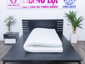 Top 3 nệm foam Thắng Lợi được yêu thích nhất năm 2023