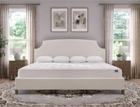 Nệm cao su Thiên Nhiên 100% Thắng Lợi 2m x 2m2 phù hợp với loại giường nào?