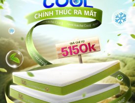 Nệm điều hòa hybrid matcha cool Thắng Lợi