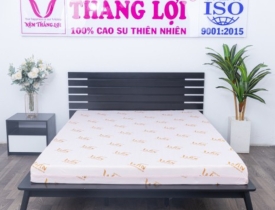 Nệm Super Win Foam Thắng Lợi