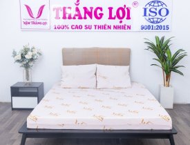 Review - nệm supper win foam Thắng Lợi, có tốt không?