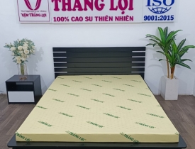 Nệm Thắng Lợi hàng Việt Nam chất lượng cao